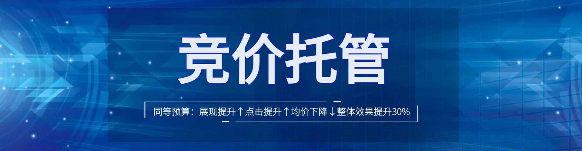 碧江sem专员